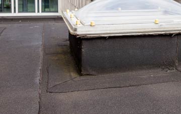 disadvantages of Perthy flat roofs