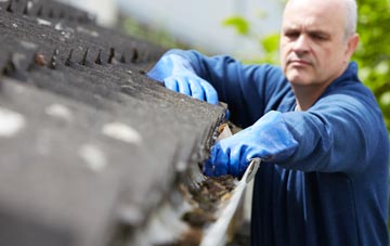 cleaning and inspecting Perthy roofs