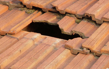 roof repair Perthy, Shropshire